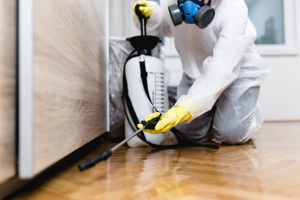 Professional Pest Control in Maple Grove, MN