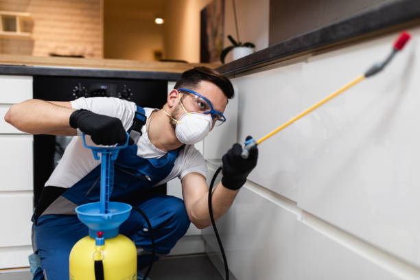 Best Best Pest Control Companies  in Maple Grove, MN