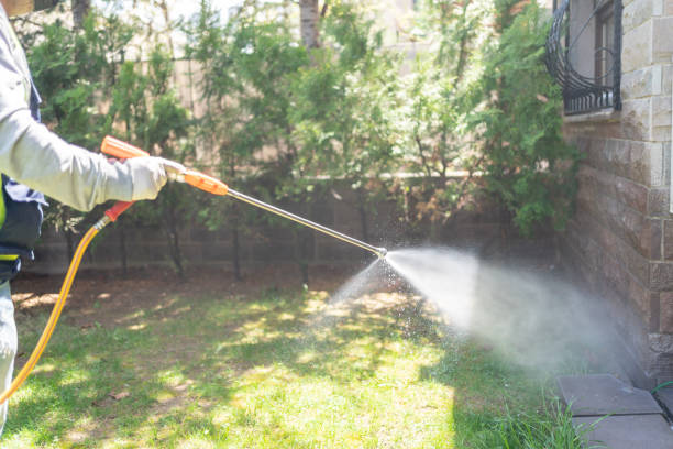 Best Termite Control Services  in Maple Grove, MN